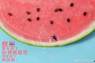 吃瓜公告,热点事件背后的真相与反思