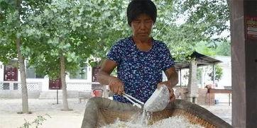 永年吃瓜大娘,揭秘民间趣闻背后的生活智慧