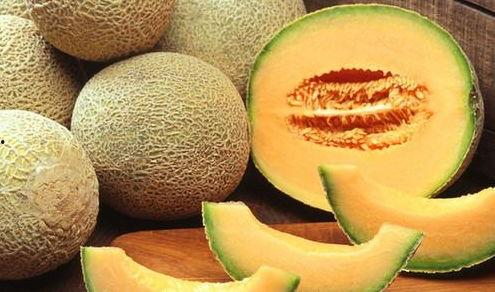 晋江请吃哈密瓜,一场甜蜜的味蕾之旅