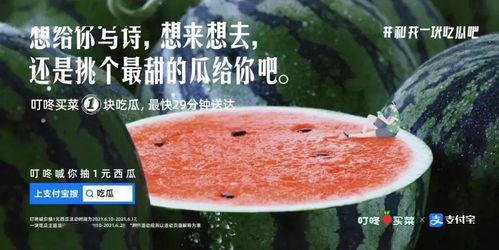 关于吃瓜太多的文案,揭秘网络时代的“信息消化”困境