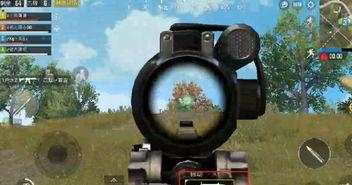 吃鸡爆料大瓜,揭秘游戏幕后黑幕与精彩瞬间