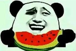 吃瓜群众的你能挑瓜吗,如何挑选新鲜美味的好瓜