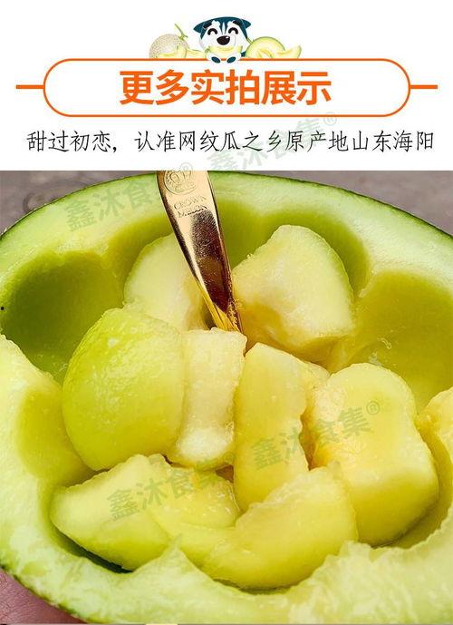 怎么吃山东蜜瓜,吃出夏日清新滋味