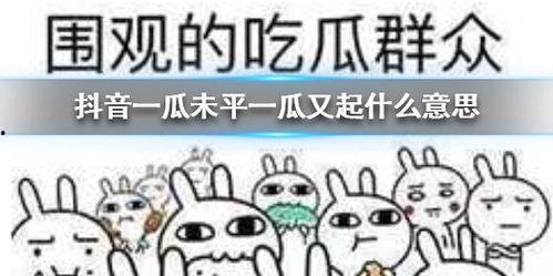 抖音礼物吃瓜,抖音热门礼物“吃瓜”背后的趣味与潮流