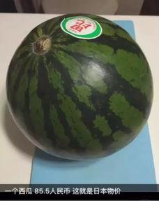 泰国吃瓜声控,吃瓜声控，解锁神秘声音魔法