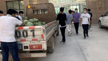 沧州吃瓜新闻事件,一场引发全民热议的“瓜田风波”