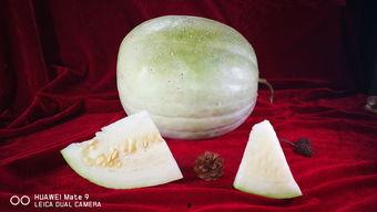 吃三白瓜呕吐,揭秘夏日消暑美食背后的风险