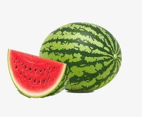 夏至吃瓜养生歌,夏日吃瓜养生歌带你清凉一夏