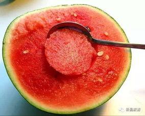 吃瓜必备勺,揭秘吃瓜必备勺的神奇魅力