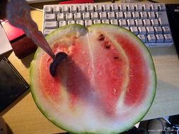 会员哥吃瓜,揭秘娱乐圈背后的那些事儿