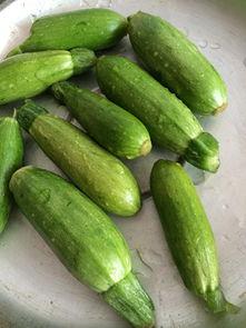 小角瓜怎么吃家常,多样烹饪，美味升级