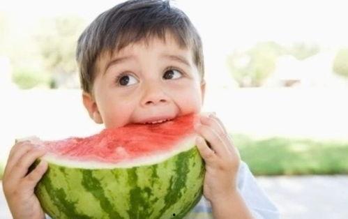 遇狼吃瓜,一场惊心动魄的生存挑战