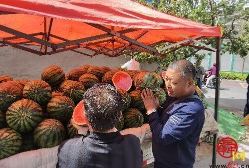 济南泉城里吃瓜,清凉一夏，品味泉城特色瓜果